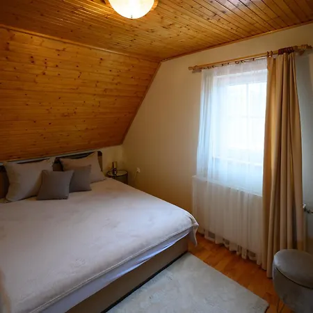 Szilvia Vendeghaz סארוואש