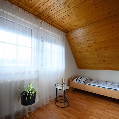 Szilvia Vendeghaz סארוואש